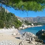 Katica * Mlini